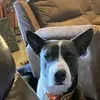 user8402925304151 - @cliff.wolfe - TikTok