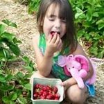 Cliff Young - @cliff7940 - Instagram
