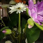 Clifford Abraham - @clifford.abraham.7524 - Instagram