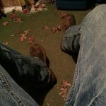 Droské:CliffordDeanDrokeJr - @clifforddeandrokejr - Instagram