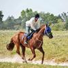 Clifford Dodson322 - @cdeand21 - TikTok