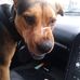Clifford Larson - Facebook