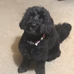 Clifford Marshall - Facebook
