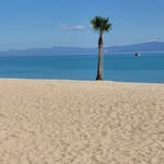 Clifford Marshall - @cliffordmarshall453 - Instagram