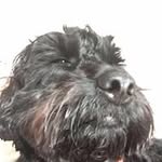 clifford marshall - @marshall_clifford - Instagram
