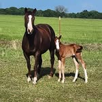 Clifford Marshall Jr. - @cliffordmarshall35 - Instagram