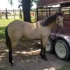 cliffordmarshallj - @cliffordmarshallj - TikTok