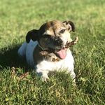 Mitchell Clifford - @mitchell___clifford - Instagram