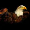 Clifford Ross - @clifford.ross7 - TikTok
