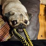 @cliffordsamson1403 - Instagram