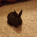 Clifford Schuster - @cliffordschuster - Instagram