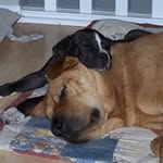 Clifford Ward - @clifford.ward2 - Instagram