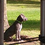 Clifford Watson - @cliffordwatson6301 - Instagram