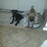 Clifton Lee - @user3157708454074 - TikTok
