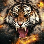 Clifton Lee 🐅 - @cliffielee - Instagram