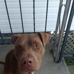 Clifton Lee Lacy Jr. - @cliftonlacyjr - Instagram
