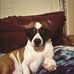 Clifton Ward - Facebook