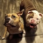 Clifton Watson - @c_dub_ya_jr - Instagram
