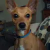 Clint Adkins Woods - @clintadkinswoods - TikTok