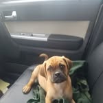 Clint Cody - @clintcody35 - Instagram