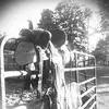 Clint Cook - @clint.cook17 - TikTok