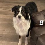 Clint Cook - @clintcook1 - Instagram