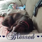 Clint Cook - @clintcook517 - Instagram