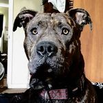 Clint Cook - @clintcook81 - Instagram
