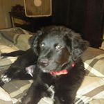 Clint Crowe - @clint_crowe - Instagram