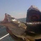 Clint Gault - Facebook