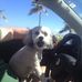 Clint Gordon - Facebook