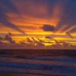 Clint Hamrick - @hamrickclint - Instagram