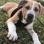 Clint MASON - @clintmason9 - Instagram