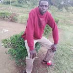 Moses Clinton - @moses.clinton.3975 - Instagram