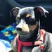 Clinton Parnell - Facebook