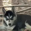 clintonperkins776 - @clintonperkins776 - TikTok