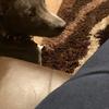Clint Riley - @user241495458 - TikTok