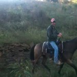 @clintriley11 - Instagram