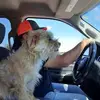 Clint Roberts - @clint.roberts7 - TikTok
