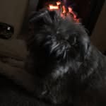 Rupert McClintock - @rupertmcclintock - Instagram
