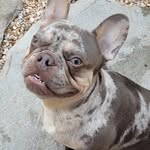 Clint Saunders - @saundersclint - Instagram