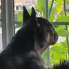 Clint Saunders - @clint.saunders1 - TikTok