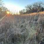Clint Schiller - @schilldogg - Instagram
