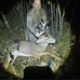 Clint Schiller - Facebook