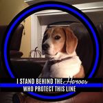 Clint Schmidt - @clint.schmidt.353 - Instagram