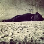 رمش الغلا ‏ - @clintschreck13 - Instagram