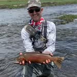 Clint Shaffer - @clintinorange - Instagram