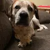 clinton.shaffer - @clinton.shaffer - TikTok