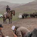 Clint Sharp - @clint.sharp.33 - Instagram