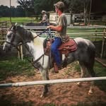 Clint Sheffield - @clintsheffield - Instagram